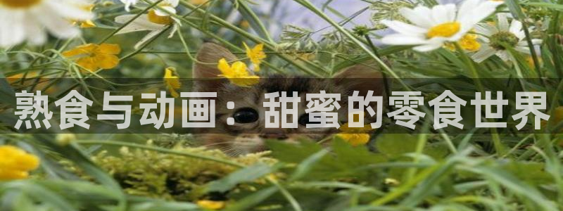 omofun.link网页版：熟食与动画：甜蜜的零食世界