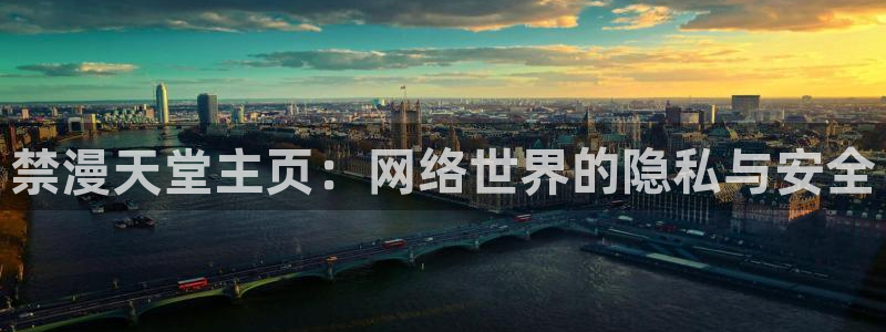 omofun动漫共和国：禁漫天堂主页：网络世界的隐私与安全