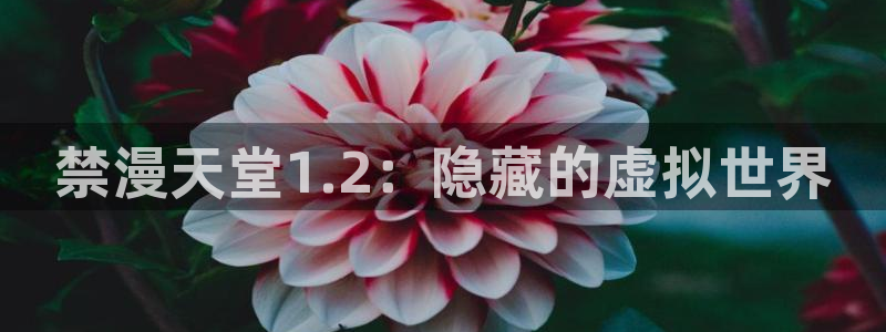 omofun网页版地址：禁漫天堂1.2：隐藏的虚拟世界
