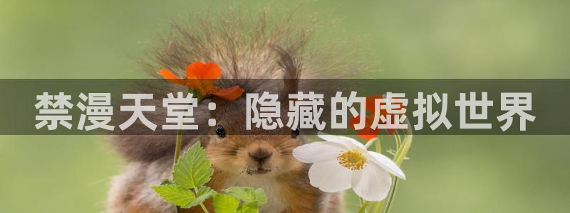 omofun在线下载：禁漫天堂：隐藏的虚拟世界