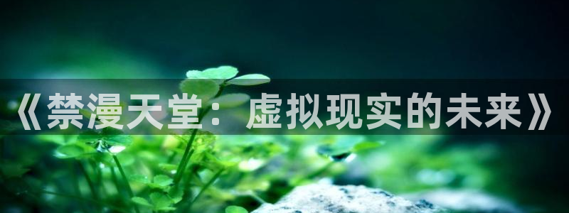 omofun专注动漫的网站：《禁漫天堂：虚拟现实的未来》